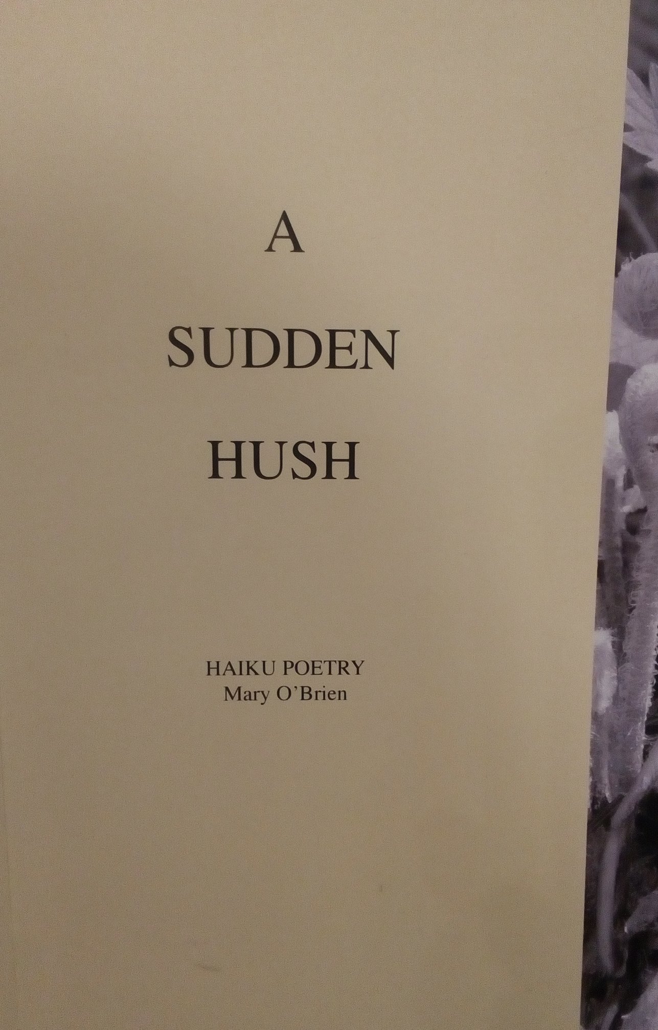 A Sudden Hush by Mary O'Brien